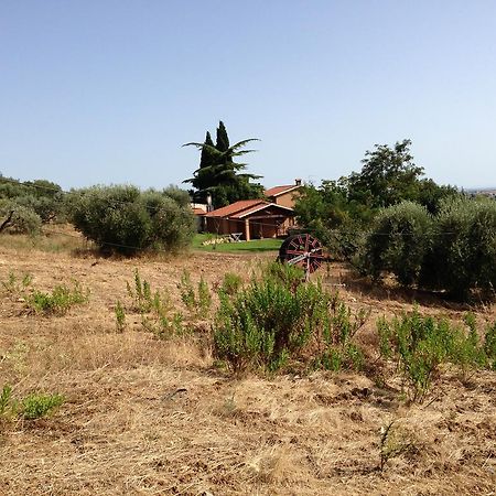 Agriturismo San Mauro Капалбио Екстериор снимка