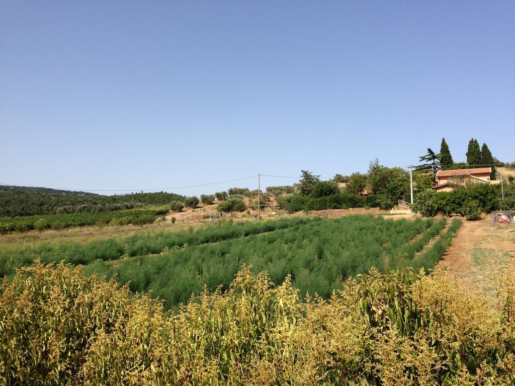 Agriturismo San Mauro Капалбио Екстериор снимка